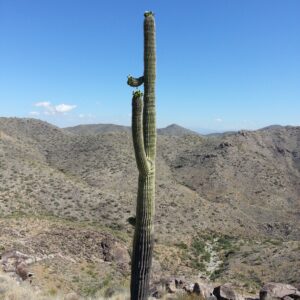 White Tank Mountains Arizona Gallery