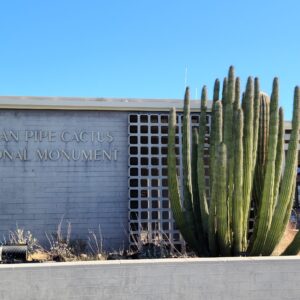 Organ Pipe Cactus Arizona Gallery